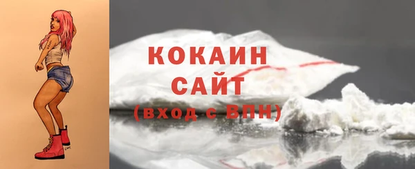 дмт Снежинск