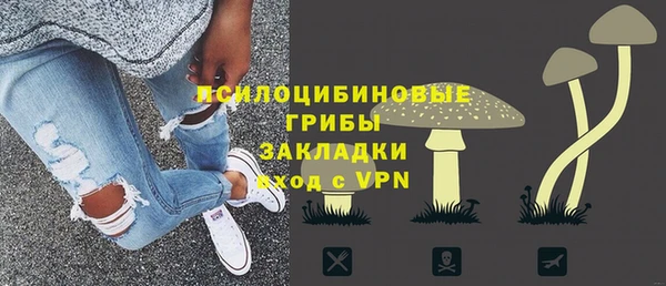 ALPHA PVP Киреевск