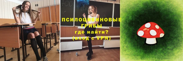 первитин Козельск