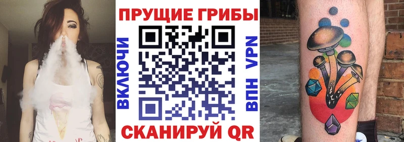 Галлюциногенные грибы MAGIC MUSHROOMS  купить наркотик  Вологда 